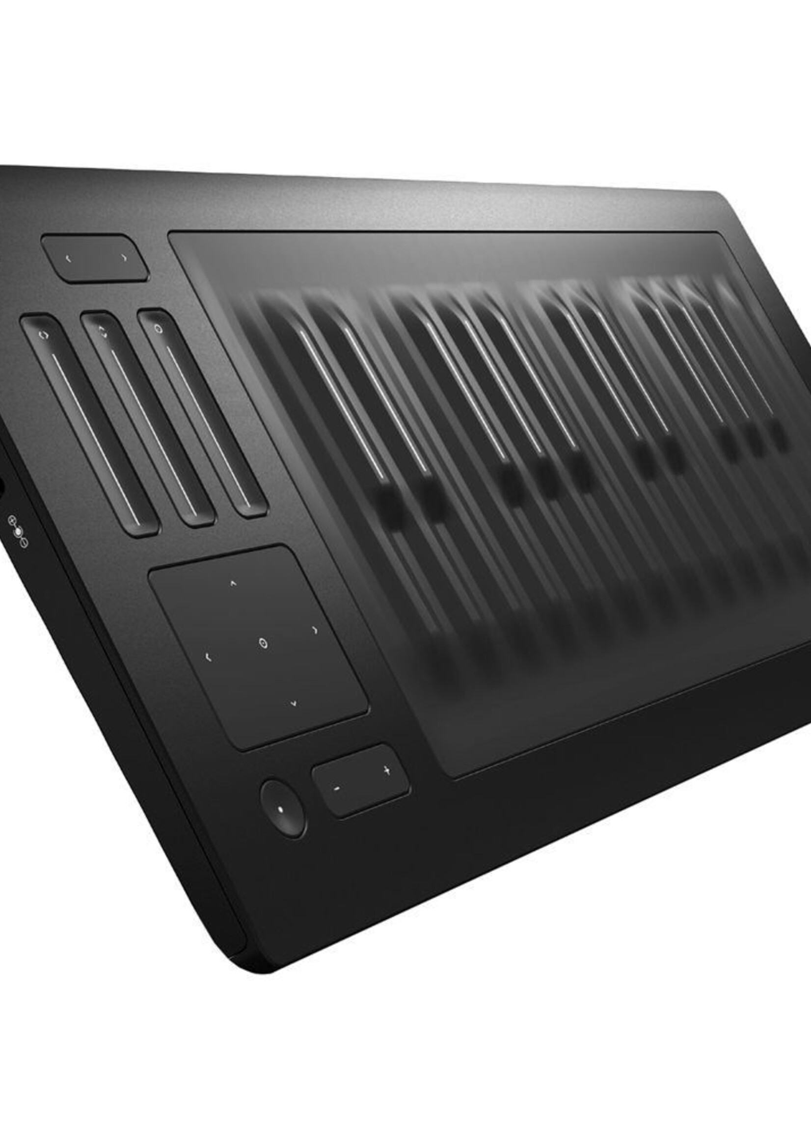 ROLI Seaboard RISE 25