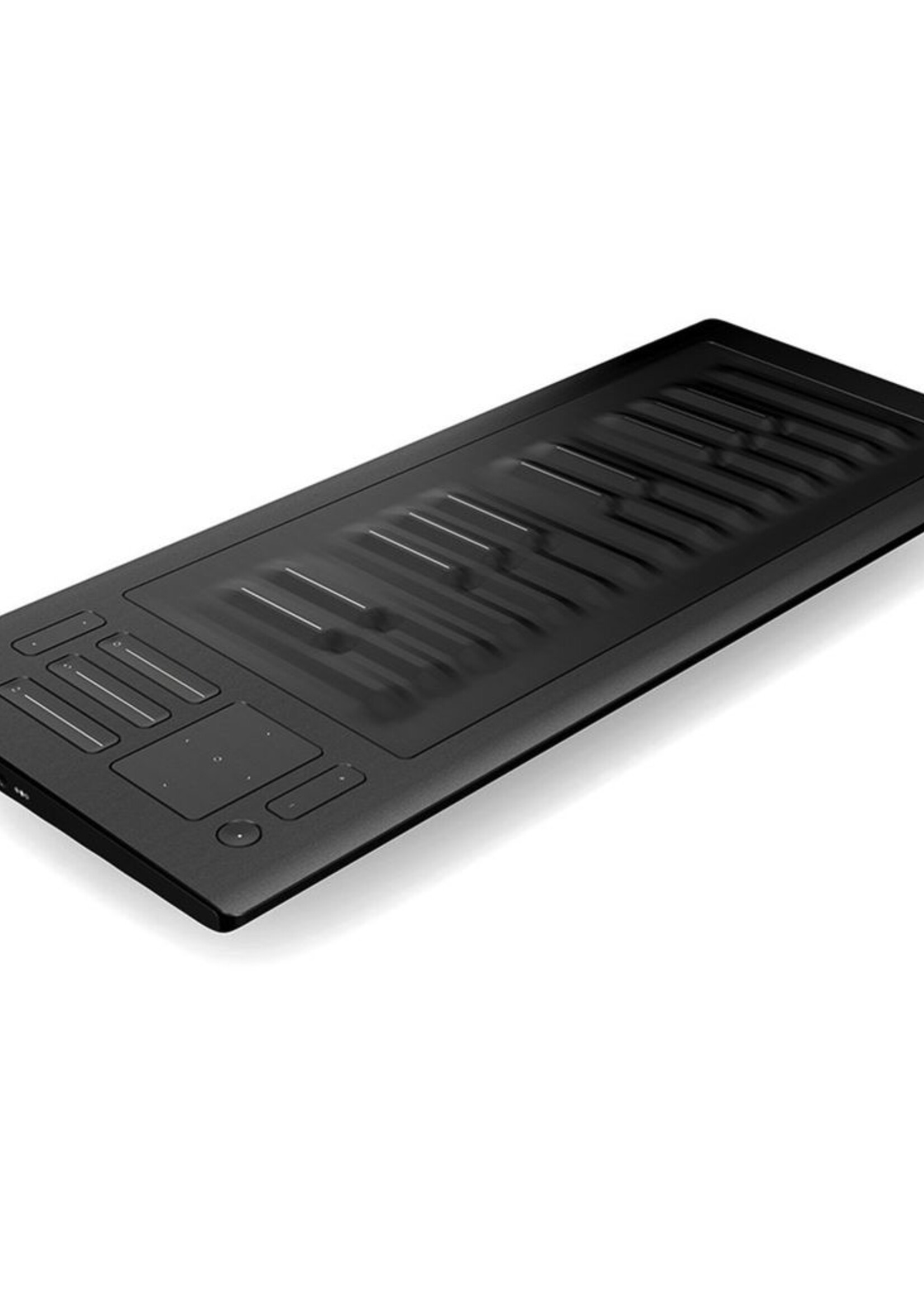 ROLI Seaboard RISE 25