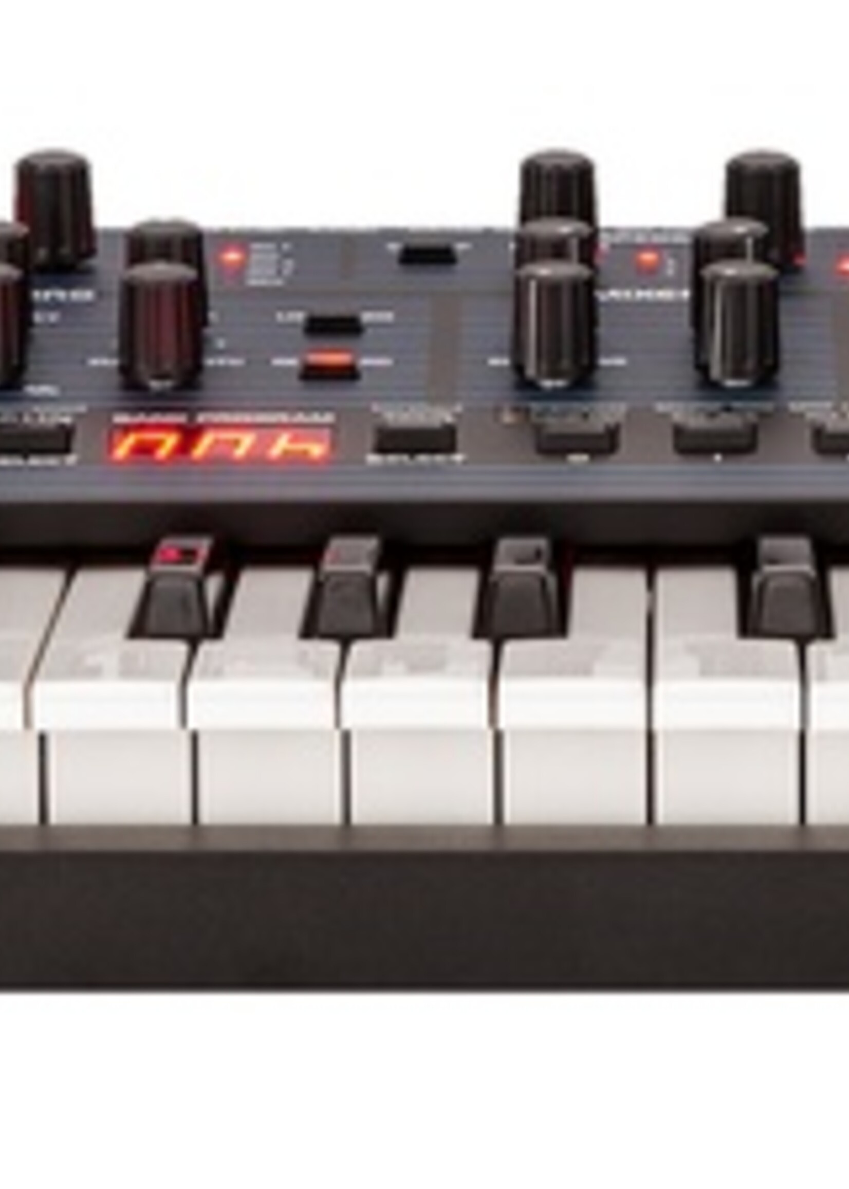 Dave Smith Instruments Oberheim OB-6