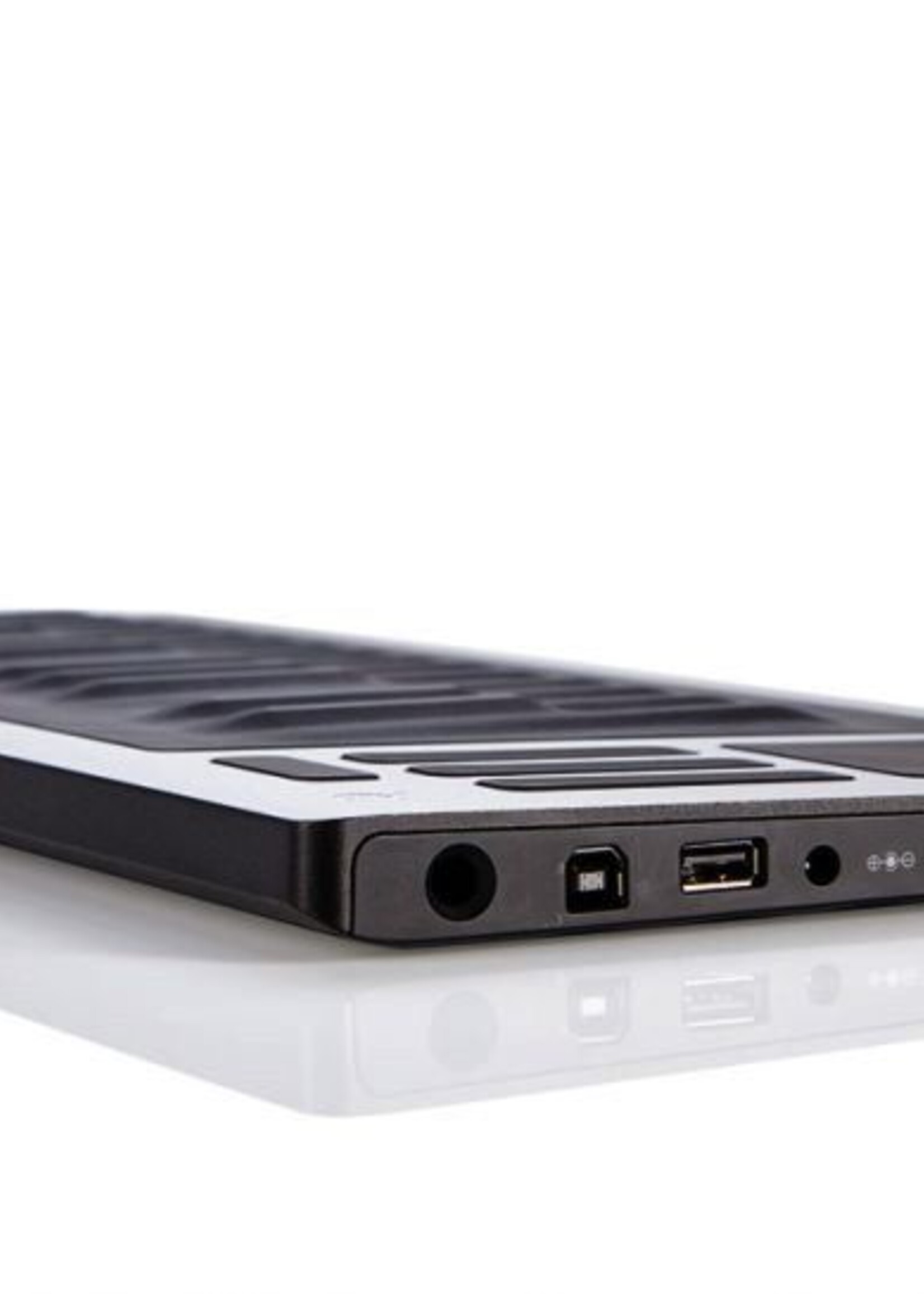 ROLI Seaboard RISE 25