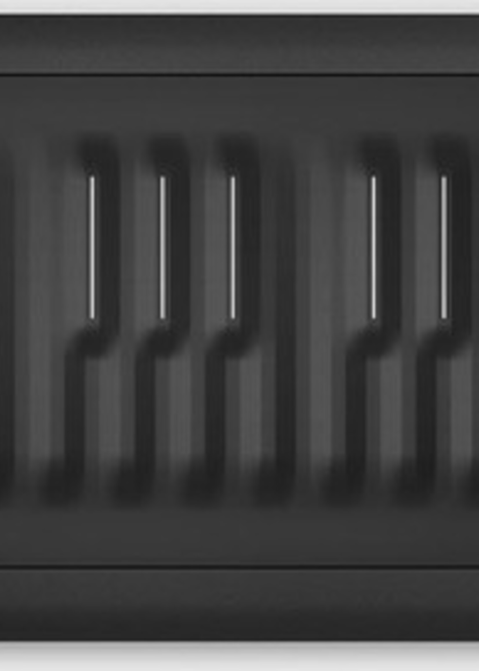 ROLI Seaboard RISE 49