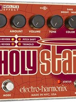 Electro Harmonix Holy Stain