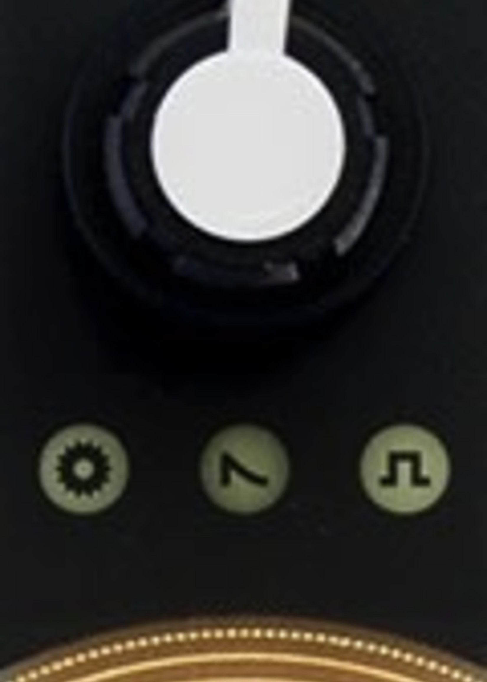 Mutable Instruments Ears