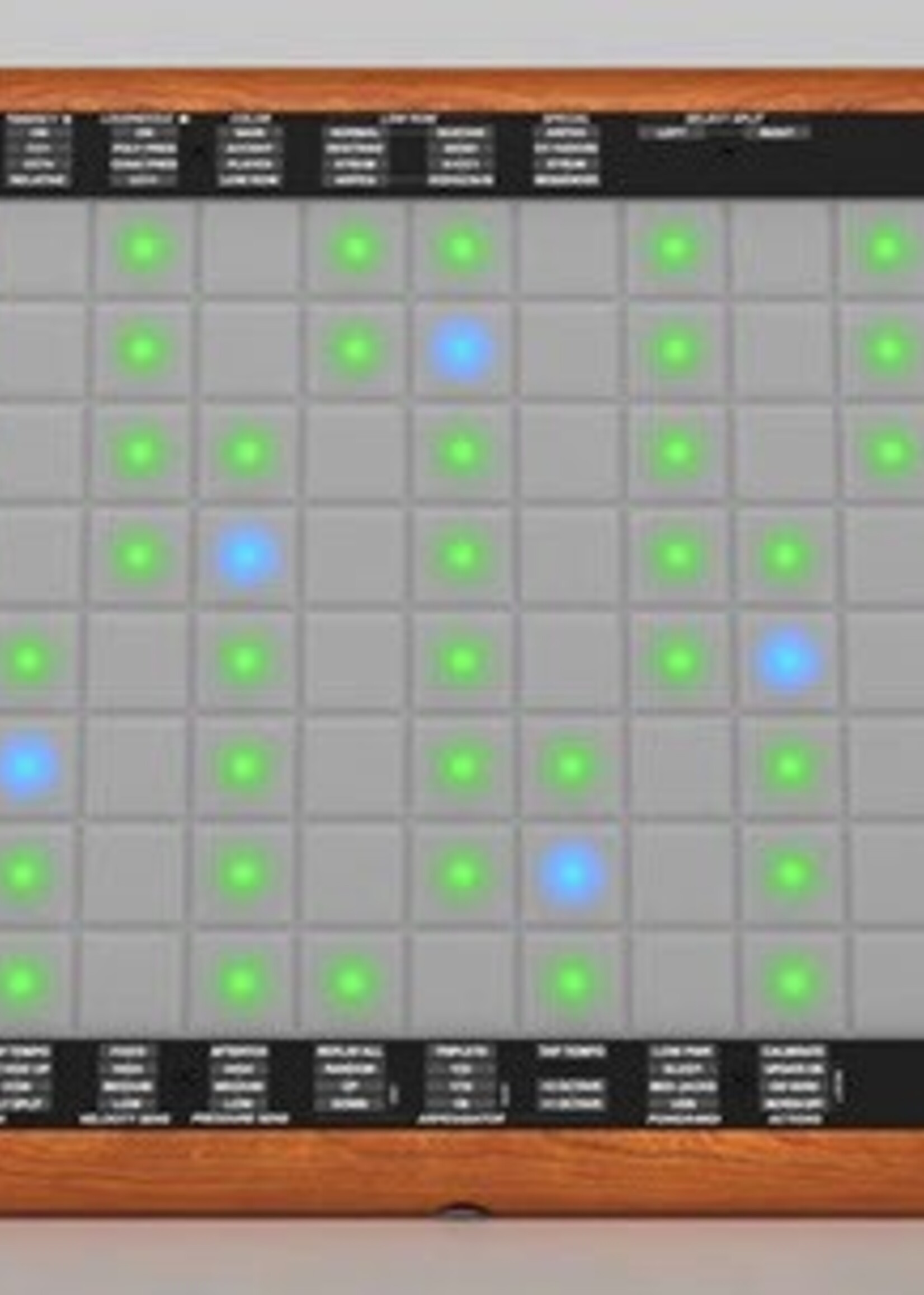 Roger Linn Design LinnStrument