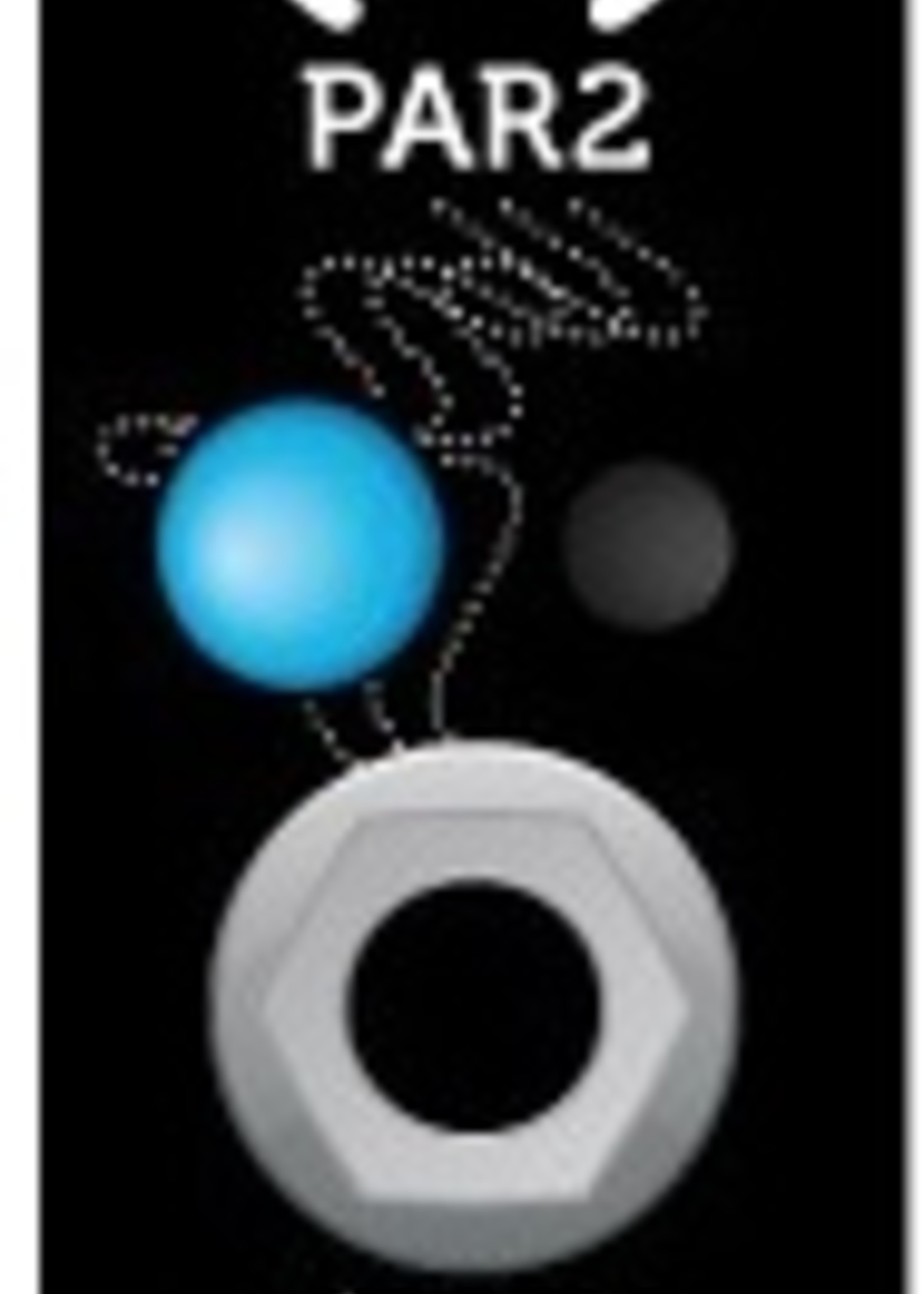 Erica Synths Erica Synths Pico Voice