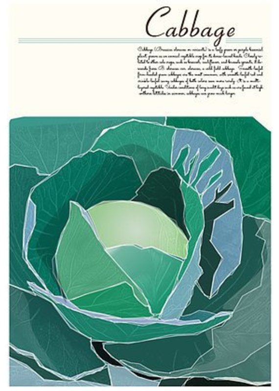 Junk Junk-Poster-Cabbage-12x18