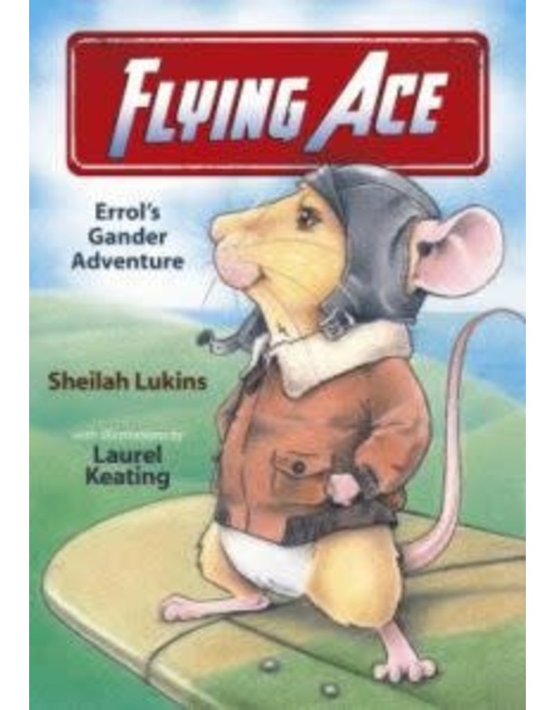 Breakwater Books Breakwater Books-Flying Ace:Errol’s Gander Adventure