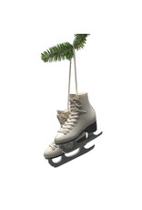 Abbott Figure Skates