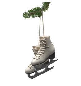 Abbott Figure Skates