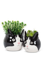 Abbott Cat Head Planter-L