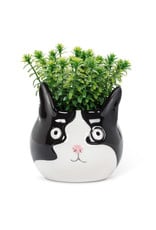 Abbott Abbott-Cat Head Planter-L