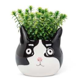 Abbott Cat Head Planter-L