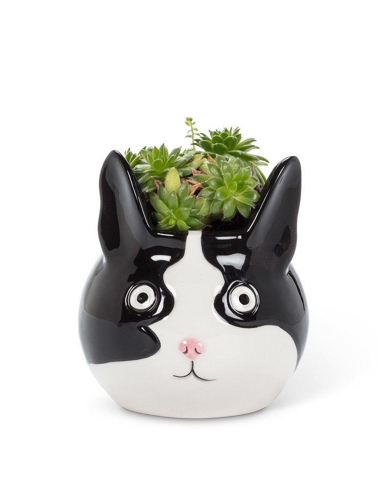 Abbott Cat Head Planter-S