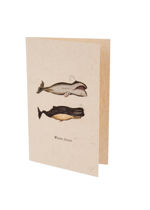 Indaba Trading Inc Whale Done Card