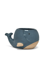 Abbott Blue Whale Planter-Large 3"