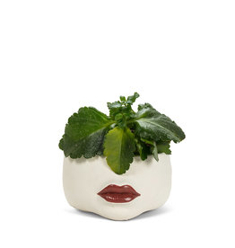 Abbott Low Red Lip Planter-7"D