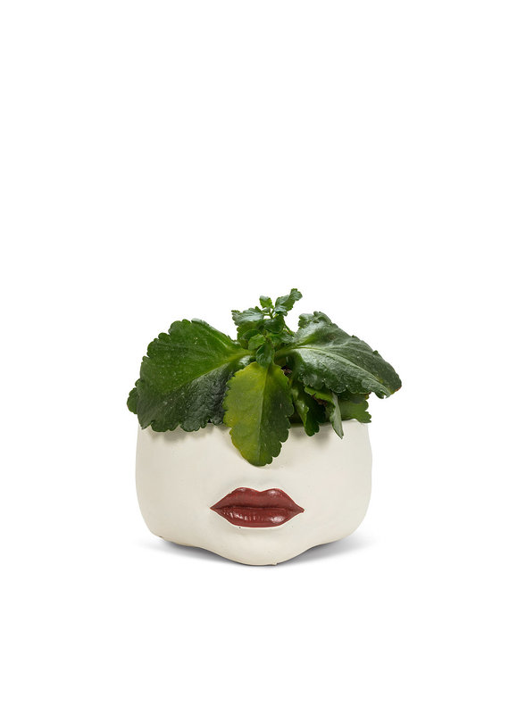 Abbott Low Red Lip Planter-7"D