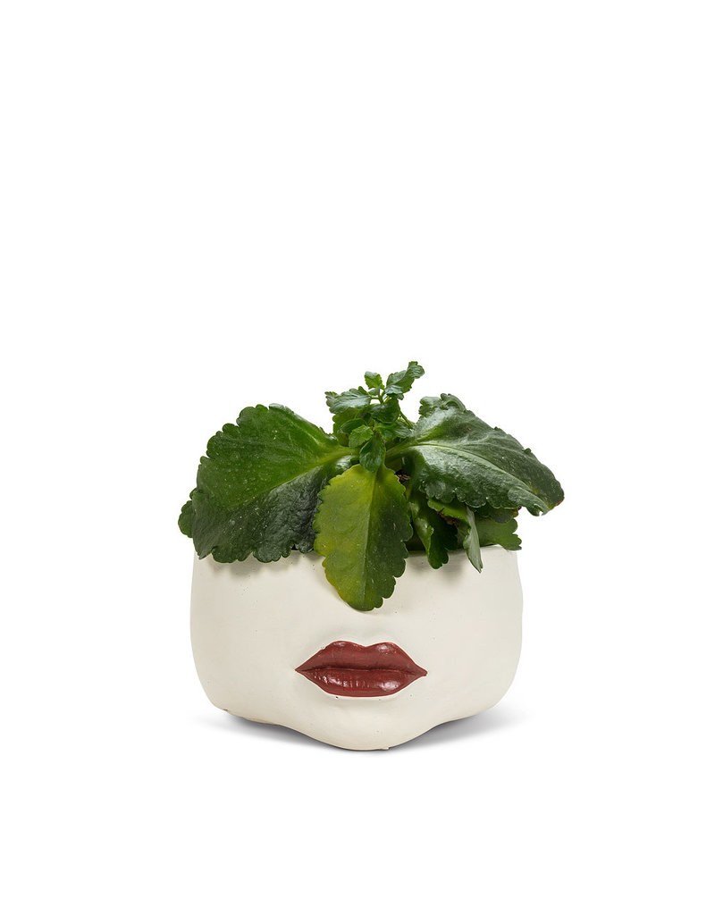 Abbott Low Red Lip Planter-7"D