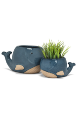 Abbott Blue Whale Planter-Small 2"