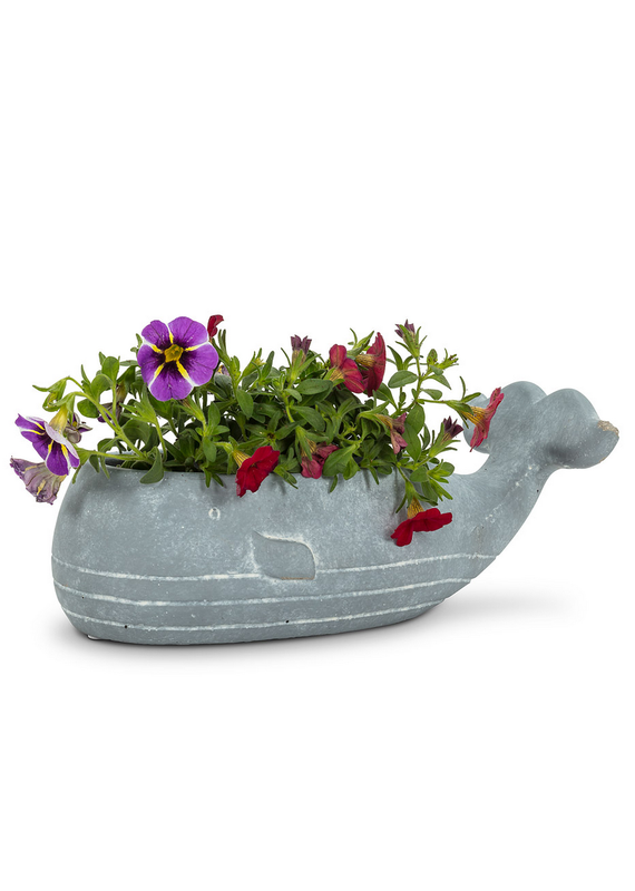 Abbott Whale Planter-8"L