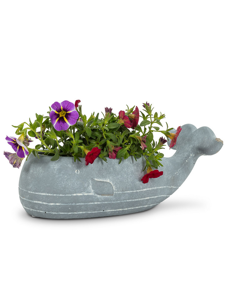 Abbott Whale Planter-8"L