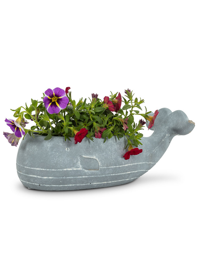 Abbott Whale Planter