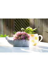 Abbott Whale Planter-8"L