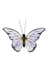 Abbott Butterfly Clips