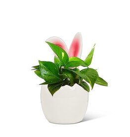 Abbott Small Egg w/Bunny Ears Planter