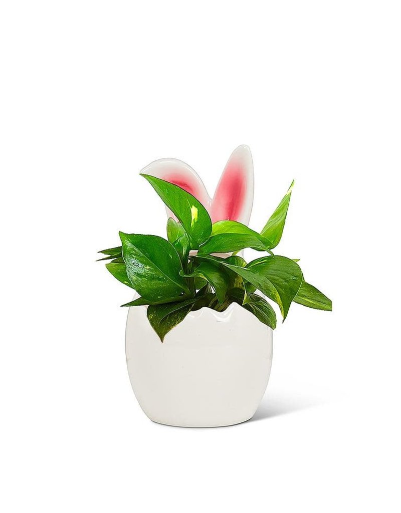 Abbott Small Egg w/Bunny Ears Planter