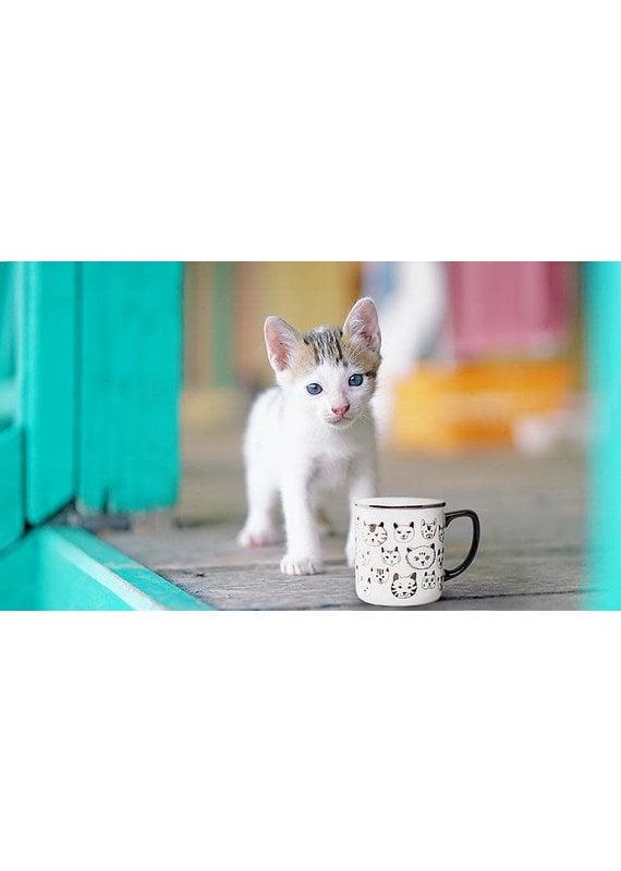 Abbott Simple Cat Faces Mug-4"H-14oz