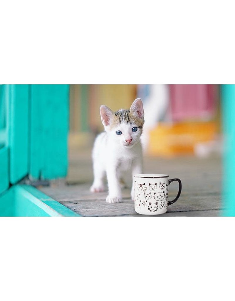 Abbott Simple Cat Faces Mug-4"H-14oz