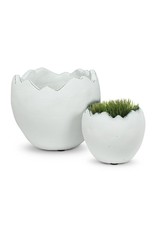 Abbott Egg Planter-SM