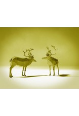 Joel E Hunt Joel E Hunt-Giclee Print-Caribou