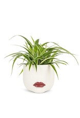 Abbott Red Lip Planter-Large-7.5"L