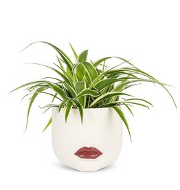 Abbott Red Lip Planter-Large-7.5"L