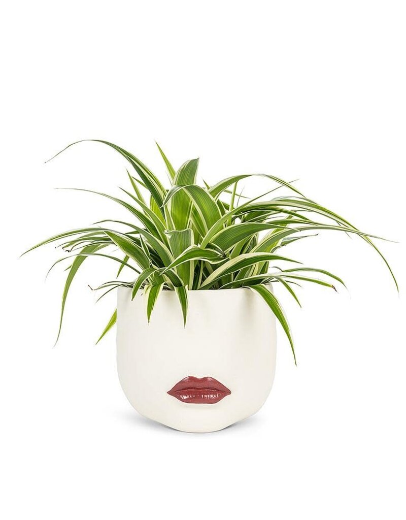 Abbott Red Lip Planter-Large-7.5"L