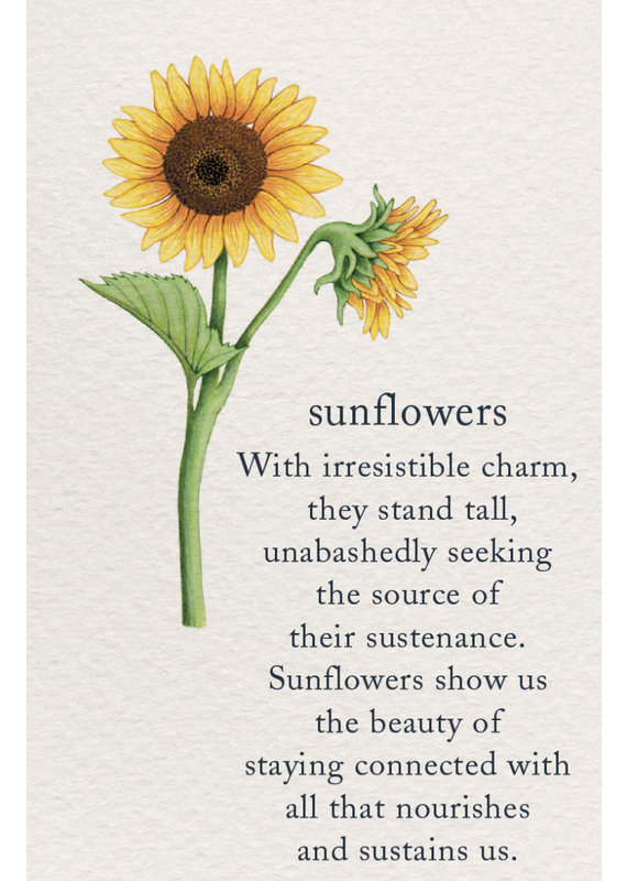 Meaning Of Life-A Cardthartic Experience Sunflower Birthday Card