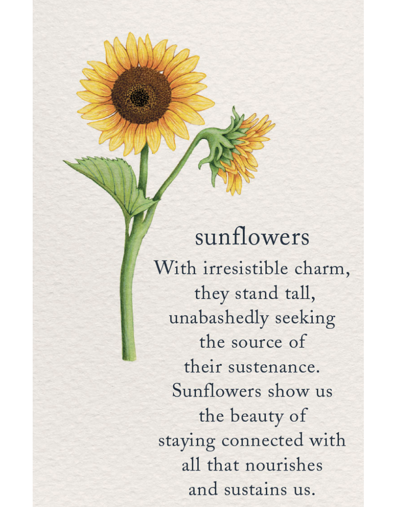 Meaning Of Life-A Cardthartic Experience Sunflower Birthday Card