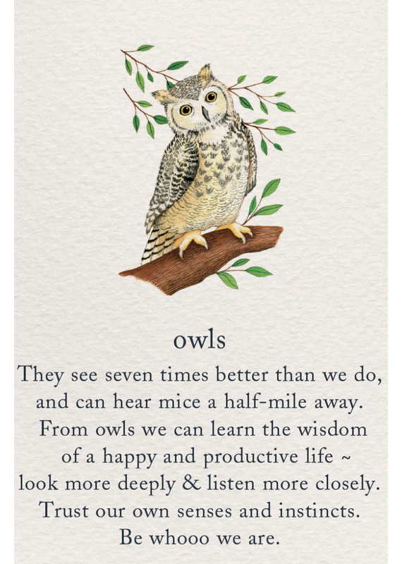 Meaning Of Life-A Cardthartic Experience Owls Birthday Card