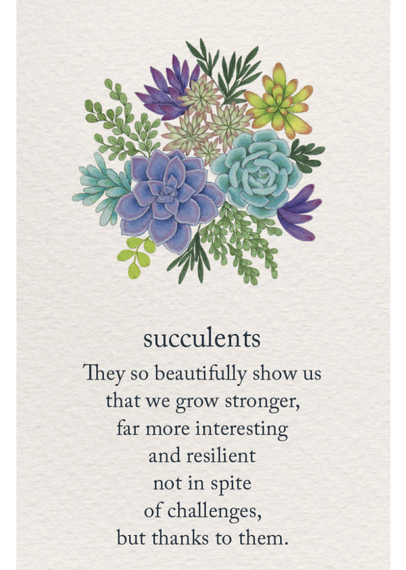 Meaning Of Life-A Cardthartic Experience Succulents Greeting Card