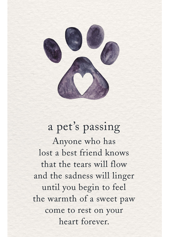 Meaning Of Life-A Cardthartic Experience A Pet's Passing Condolence Greeting Card