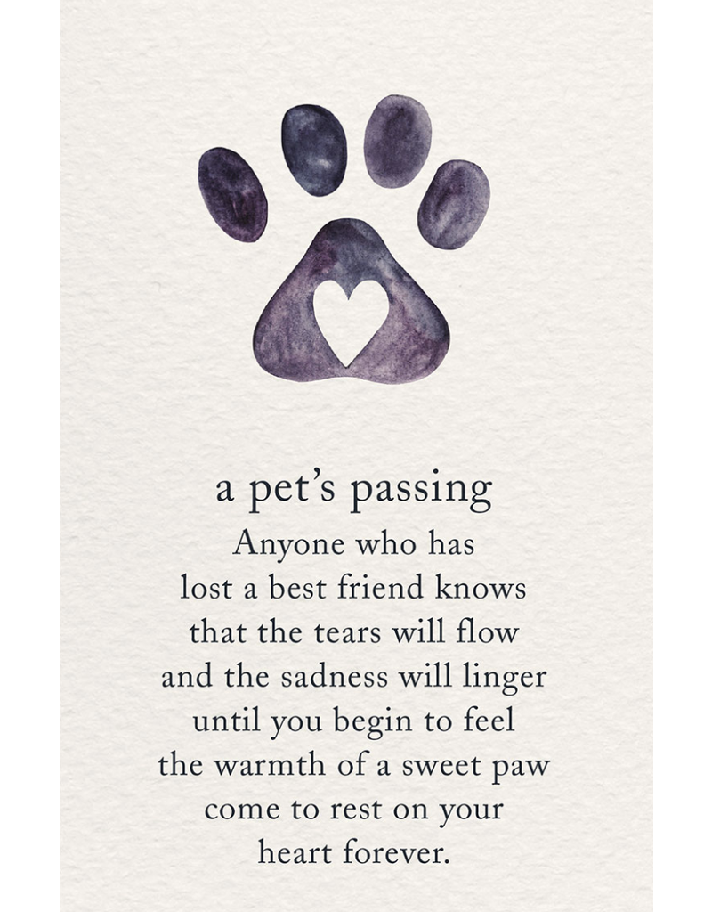 Meaning Of Life-A Cardthartic Experience A Pet's Passing Condolence Greeting Card