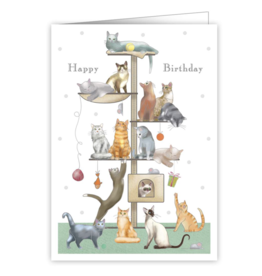 QUIRE Playful Cats Happy Birthday Greeting Card