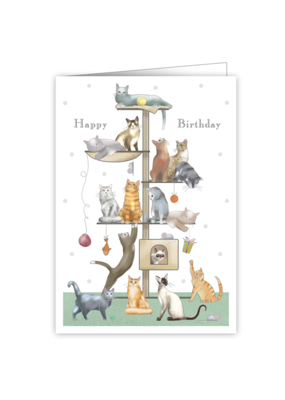 QUIRE Playful Cats Happy Birthday Greeting Card