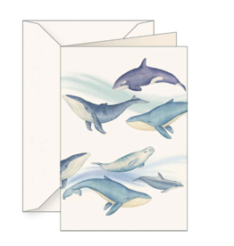 Tassotti Hump Back Whale Greeting Card