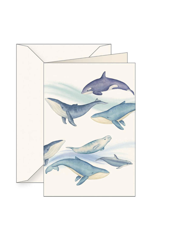 Tassotti Hump Back Whale Greeting Card
