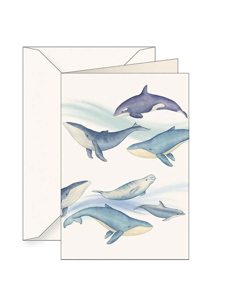 Tassotti Hump Back Whale Greeting Card