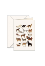 Tassotti Dog Greeting Card
