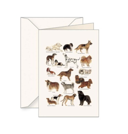 Tassotti Dog Greeting Card